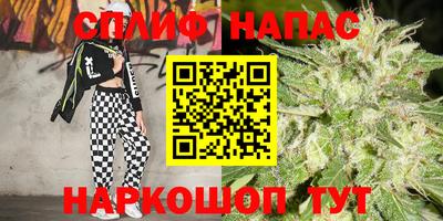 ПСИЛОЦИБИНОВЫЕ ГРИБЫ Канаш