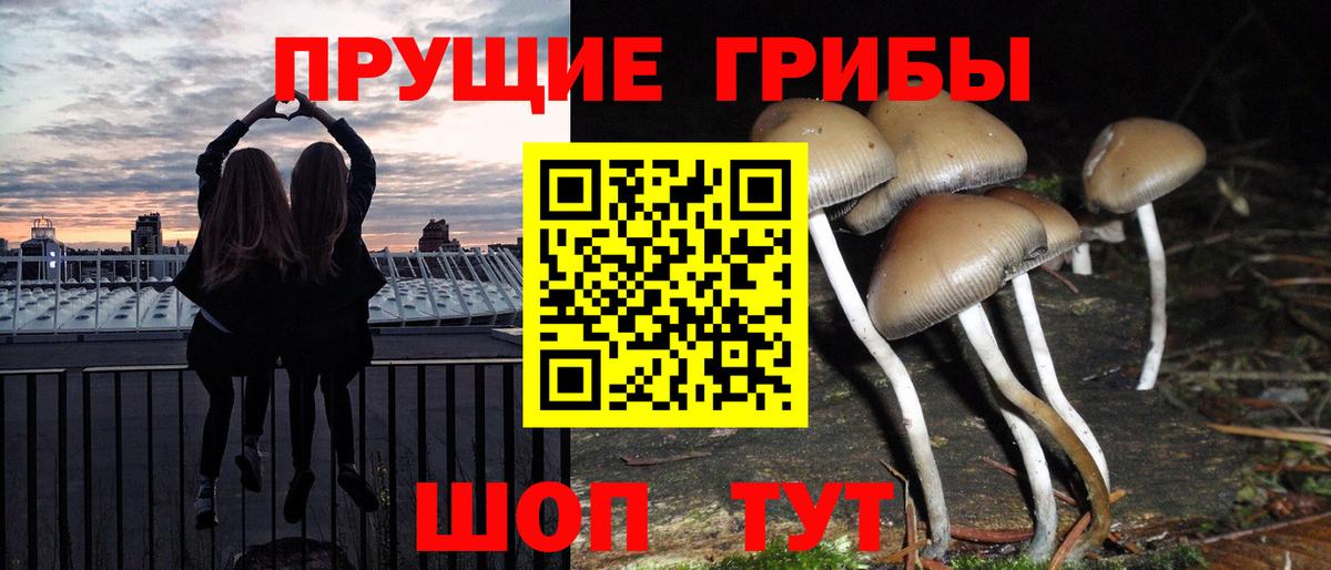 Миасс  магазин  наркотиков  Вход с VPN  Псилоцибиновые грибы мицелий 